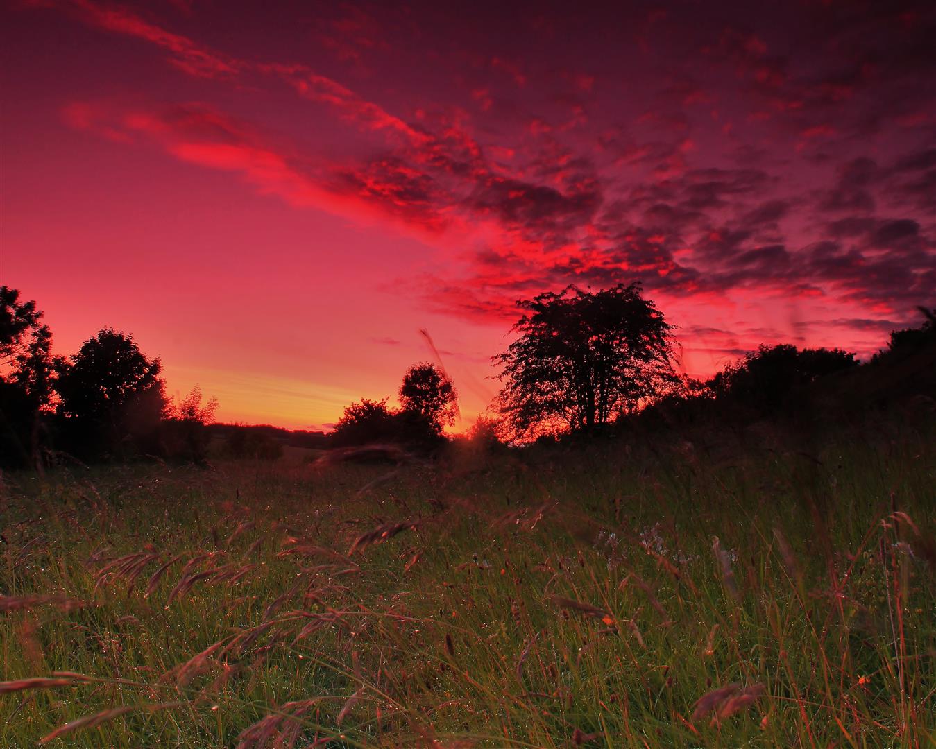 photo competion 2015 - iain s